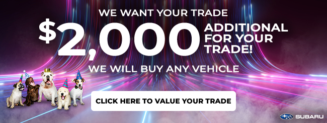 We want your trade