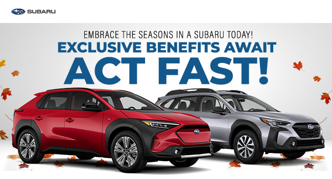 embrace the seasons in a Subaru today