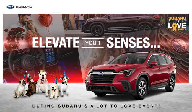 Elevate your senses - during Subarus a lot to love event