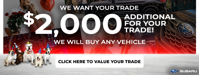 We want your trade