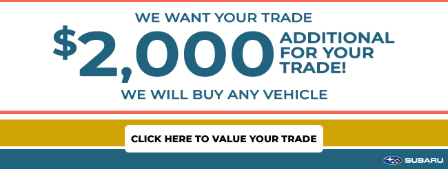 We want your trade