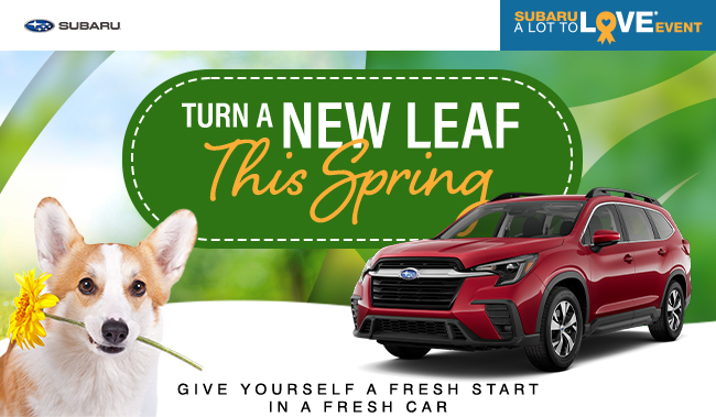 Turn a new leaf this Spring - Give yourself a fresh start in a fresh car