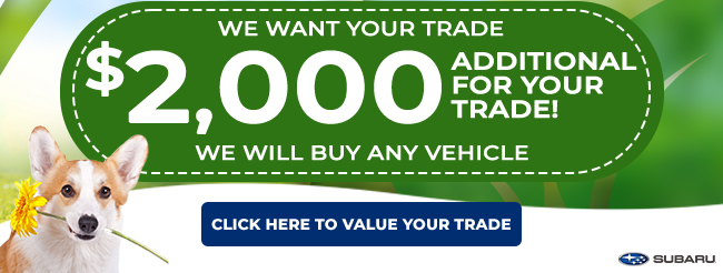 We want your trade