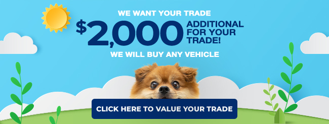 We want your trade