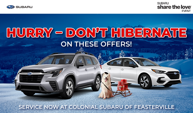 Hurry - Dont Hibernate on these offers - service now at Colonial Subaru of Feasterville