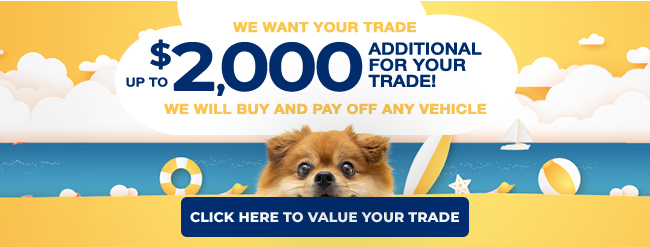 We want your trade