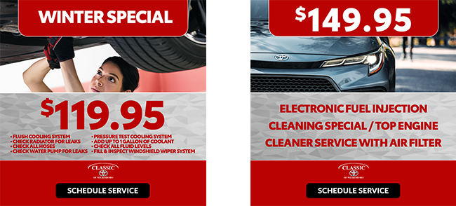 Winter special and cleaning special