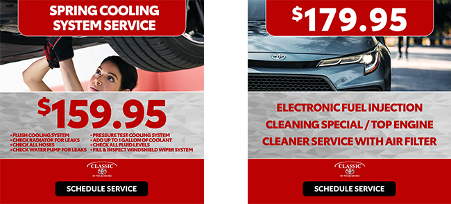 Winter special and cleaning special