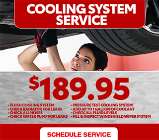 Cooling system Service