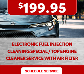 Fuel and engine cleaning Special