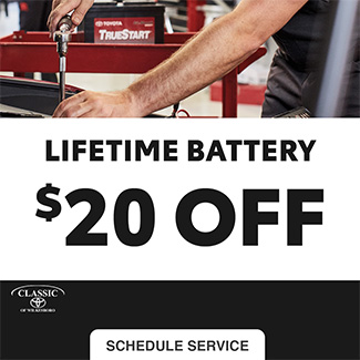 Lifetime Battery