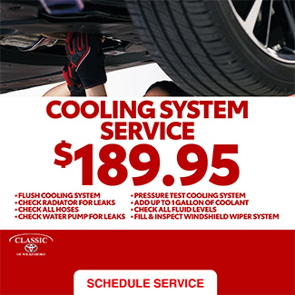 Cooling System Service