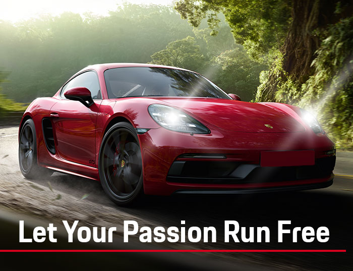 Let Your Passion Run Free