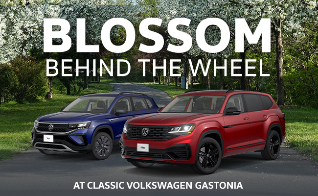 Blossom behind the wheel at Classic Volkswagen Gastonia