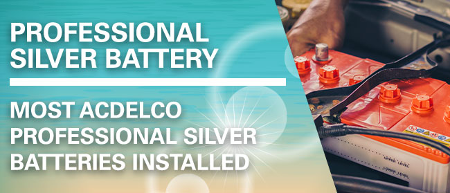 Professional Silver Battery 