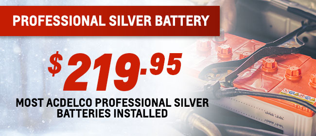 Professional Silver Battery 