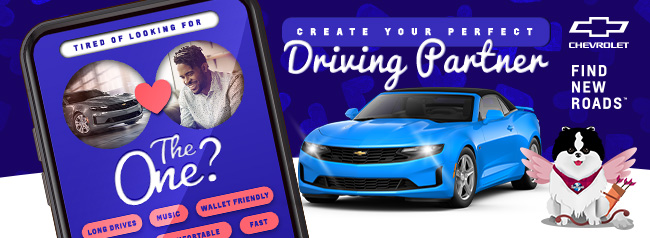 create your perfect driving partner