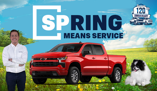 spring means service