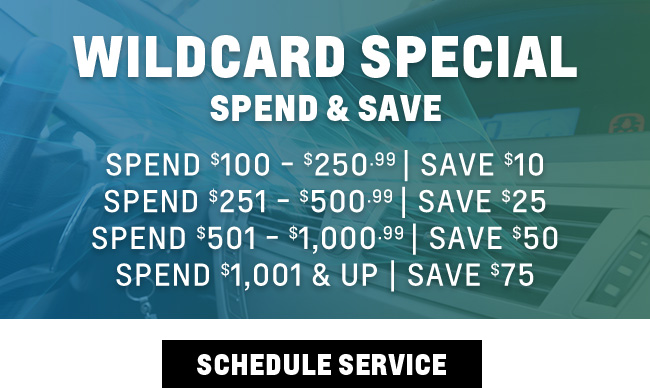 wildcard special