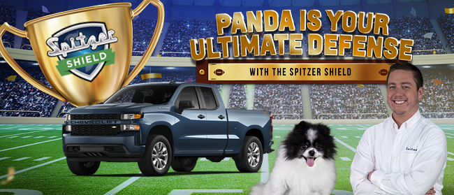 Panda is your Ultimate Defense with the Spitzer Shield