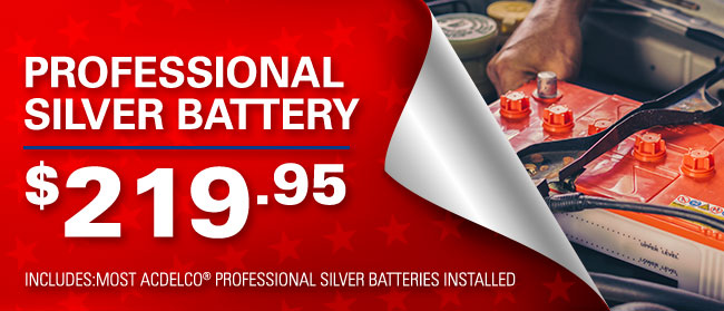 Professional Silver Battery