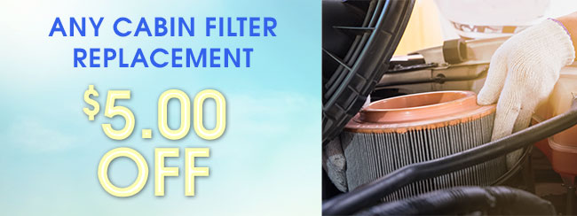 Any Cabin Filter Replacement