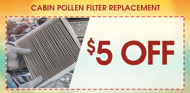 Cabin Pollen Filter Replacement