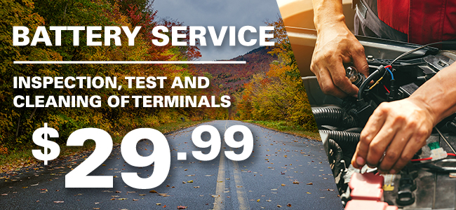 $29.99 Battery Service – Inspection, Test And Cleaning Of Terminals