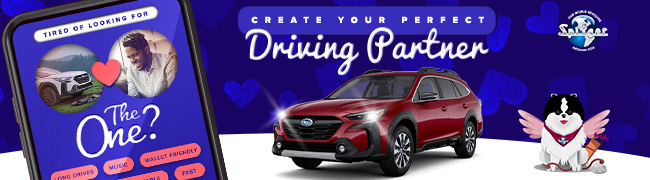 create your perfect driving partner