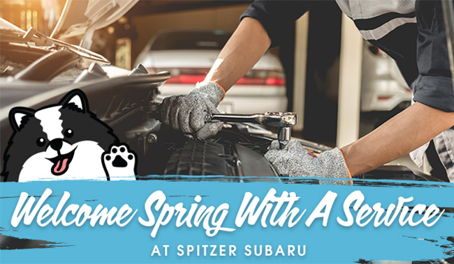 welcome spring with a Service at Spitzer Subaru
