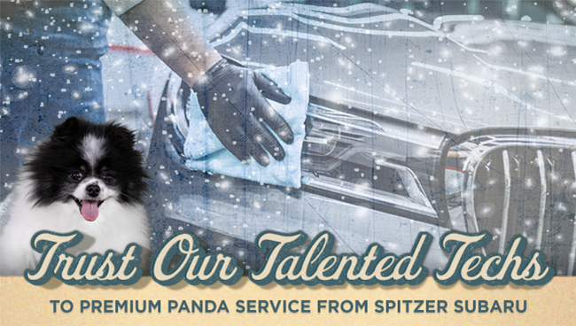 Trust Our Talented Techs - To premium Panda service from Spitzer Subaru