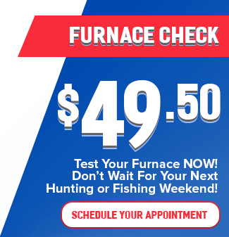 Furnace Check