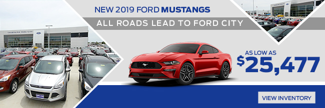 NEW 2019 FORD MUSTANGS 