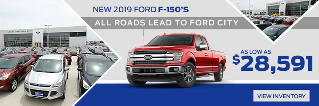 NEW 2019 FORD F150'S 