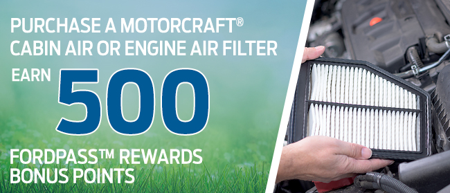 Purchase a Motorcraft® cabin air or engine air filter