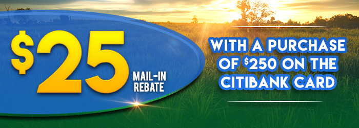 $25 Mail-in Rebate with a purchase of $250 on the Citibank card 