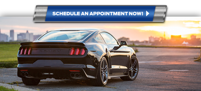 Schedule An Appointment Now!