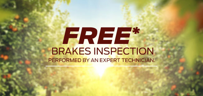 HAVE YOUR BRAKES INSPECTED FREE*