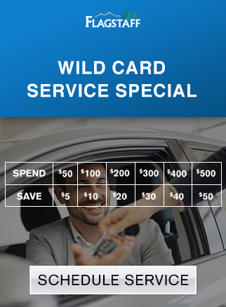 Wild Card Service Special