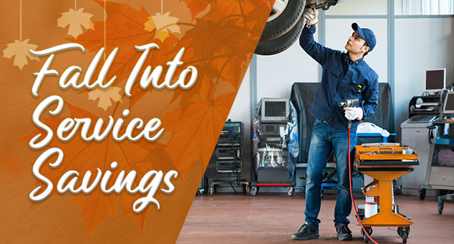 Fall Into Service Savings