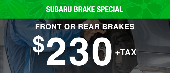 Subaru Brake Special