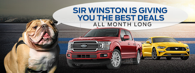 Sir Winston Is Giving You The Best Deals