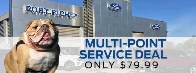 Multi-Point Service Deal 
