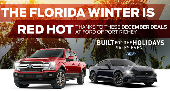 The Florida Winter Is Red Hot