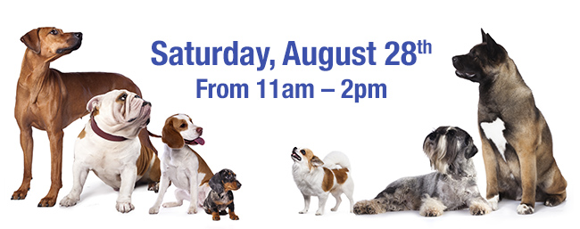 Saturday, August 28th, 2021 From 11am – 2pm