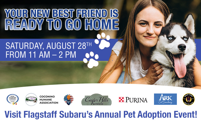 Visit Flagstaff Subaru’s Annual Pet Adoption Event! 