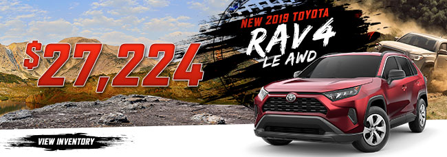 2019 Toyota RAV4 LE AWD 
