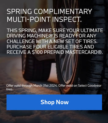 Spring Complimentary Multi-Point Inspect
