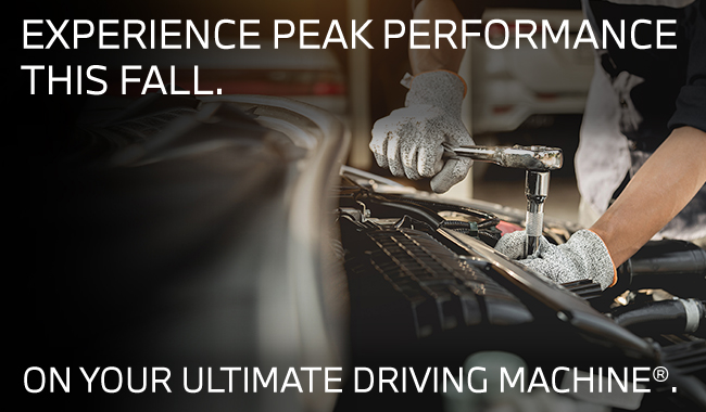 Experience peak performance this fall. On your Ultimate Driving Machine