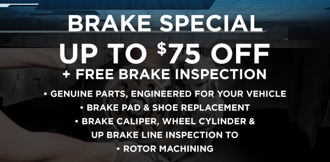 Brake Special